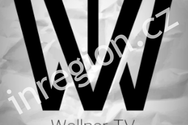 Logo Wollnerova podcastu